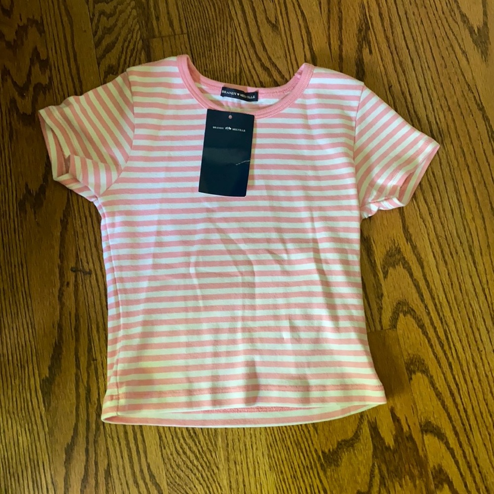 NWT Bubble gum Pink striped brandy Melville hailie